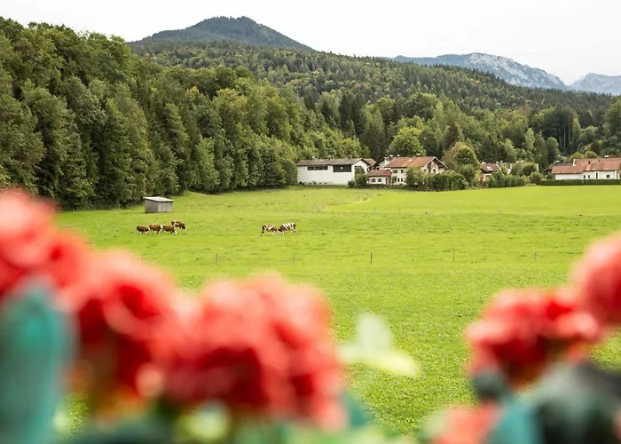 Lägenhet Am Alpenrand